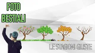 FOTO BESTIALI • LE STAGIONI GIUSTE
