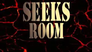 SEEKS ROOM - Intro