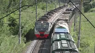 Электропоезд ЭД4М-0486 ЦППК, электровоз ВЛ11