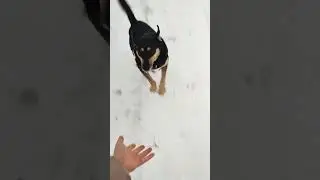 привет из дома, а не из приюта 🥰 