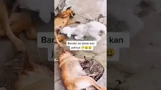 Lagi nyusuin | 