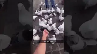 got all of them