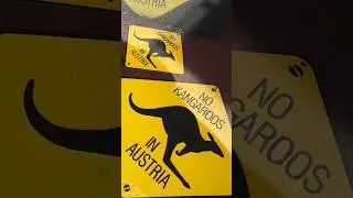 What? No kangaroos in Austria? #viral #travel #austria #australia #fyp #shorts #funny #funnyvideo