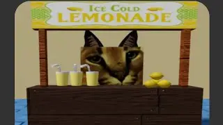 How To Find Lemonade Floppa! Find The Floppa Morphs (576) 