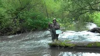 Рыбалка на хариуса после дождя