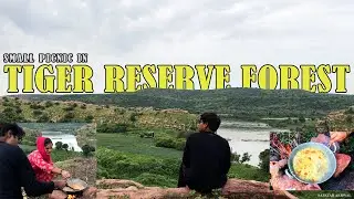 Camping in Tiger Reserve Forest 🐯