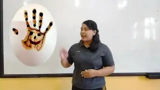 Kelas 1 Tema 1 Sub Tema 3 ( SBdp : Karya Ekspresi Dua Dimensi)
