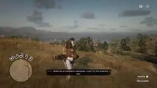 Стрим по RDR2 в 2021