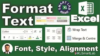 How to Format Text in Excel: Font, Alignment, Style - Playlist Part 06/28 @worksmartwithsharaz
