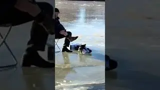 Зимние 