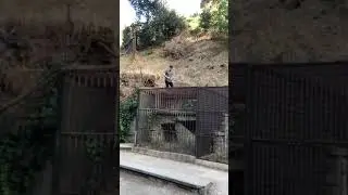 Abandoned LA Zoo Griffith Park (Scary Animal Cages)