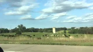 Freedom: St Louis & Iowa