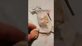 Полезные свойства чеснока...