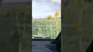 8 июня 2023 г.
