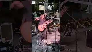 Курага Ялта Земфира