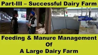 Part III, Feeding and Manure Management at Large Farm