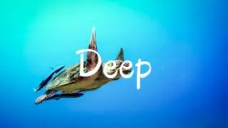 Deep - KV   | Background Music No Copyright  |