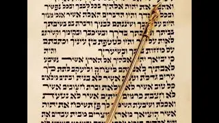 Secrets of Jewish Laws