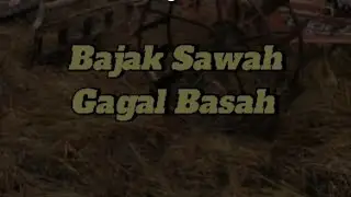 Bajak Sawah Gagal Basah #youtubeshorts #