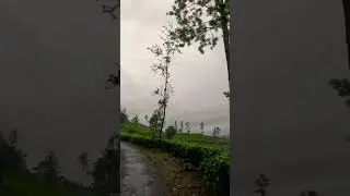 Road to my office