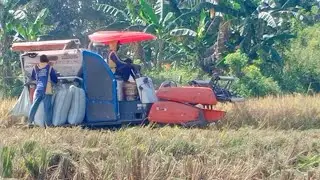 Mesin Panen Padi Kubota #441