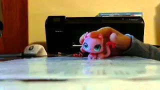 lps new chanel