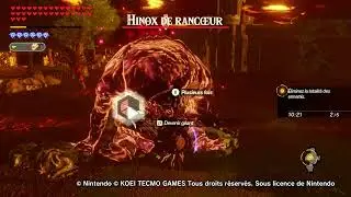 Hyrule warriors : Age of calamity malice inox fight ( monk maz koshia )