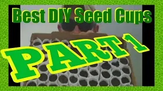 THE BEST DIY BIODEGRADABLE SEED CUPS PART 1
