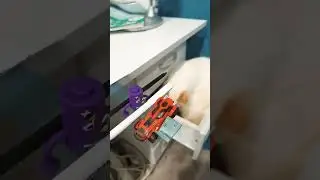 1 ноября 2023 г.