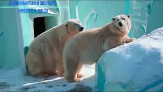 Кай и Герда. Сезон любви