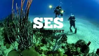 Ikson - Deep Dive (SES Musically Mind No Copyright Music)