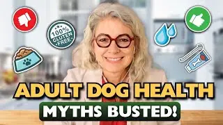 Is Your Adult Dog REALLY Healthy? Busting Dog Myths!