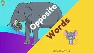 Kids vocabulary | Opposite Words - Learning about Opposites - English for kids | Educational Video