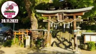 🔴Live aus Japan! - Japan-Talk + Mitglieder Ziel 2022