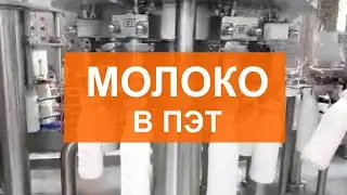 Розлив молока в ПЭТ