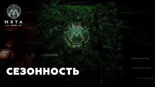 Новый вебинар - "Сезонность"