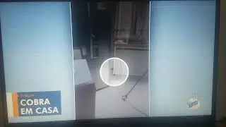 EPTV1 Volta já!  Has GSOD