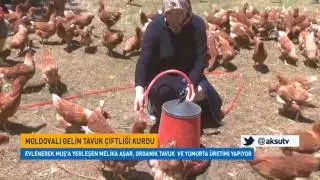 Moldovan Bride Establishes Chicken Farm in Muş