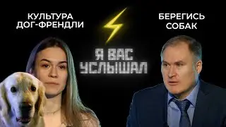 Дог-френдли: норма или диагноз? | Я вас услышал (2022)