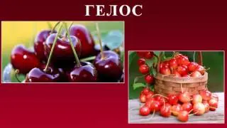 Канзи Шифо  -  Бодён, Гелос, Говзабон