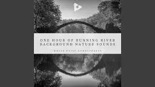Gentle Stream Sounds