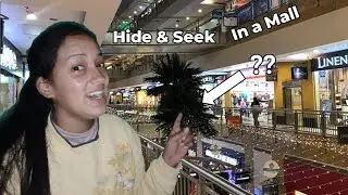 BIGGEST HIDE AND SEEK GAME IN GREAT INDIA PALACE 🎁