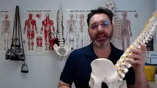 Sex and Back Pain