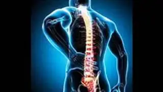 Spinal Column and Coccyx Pain Relief | Whole Body Rergeneration Binaural Beats Music