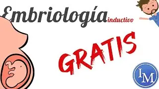 Embriología | Ciclo Sexual Femenino y Cargas Cromosómicas
