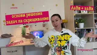 Задачи по генетике! Все как в ГДЗ