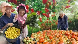 กสิกรรมนำสุข สู่ครอบครัวน้องปุณย์