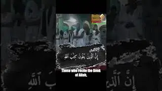 Pure Recitation without Sound Effects |  Surat al-Fatir [27-31]