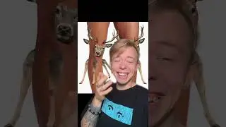 МЕМЫ НА СОВМЕСТИМОСТЬ 😂😂 