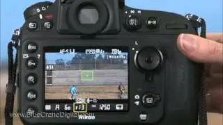 Introduction to the Nikon D800: Advanced Topics